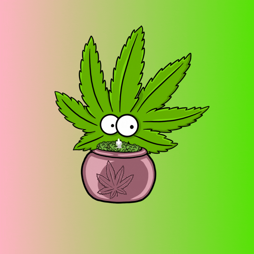Fleurs CBD 🍁