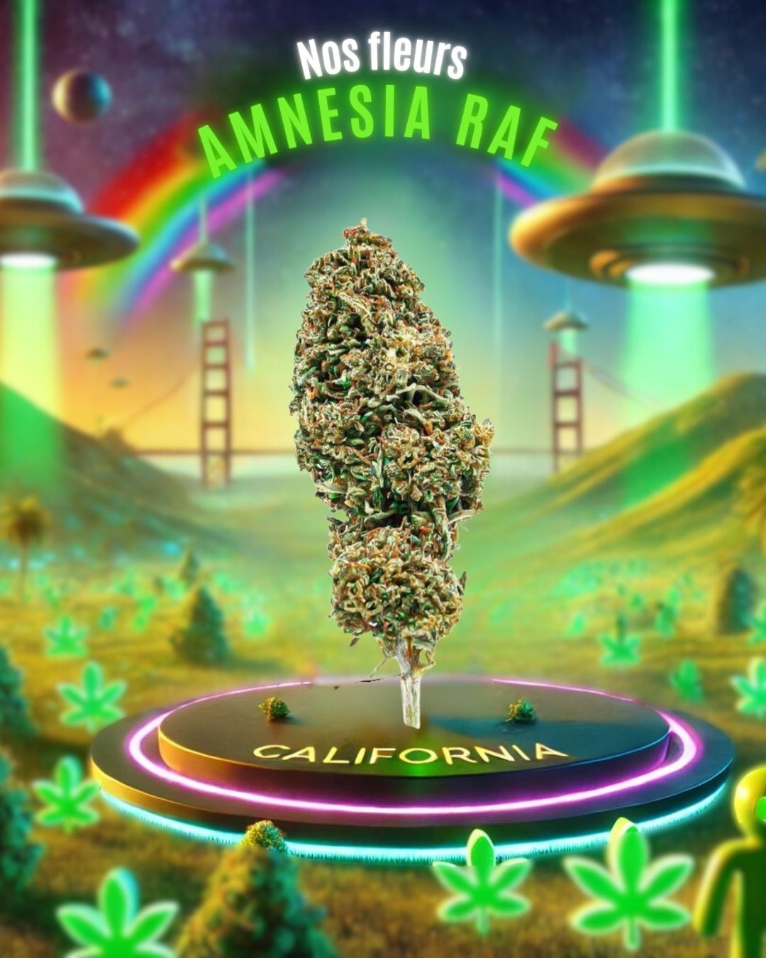 Spéciale AMNESIA RAF