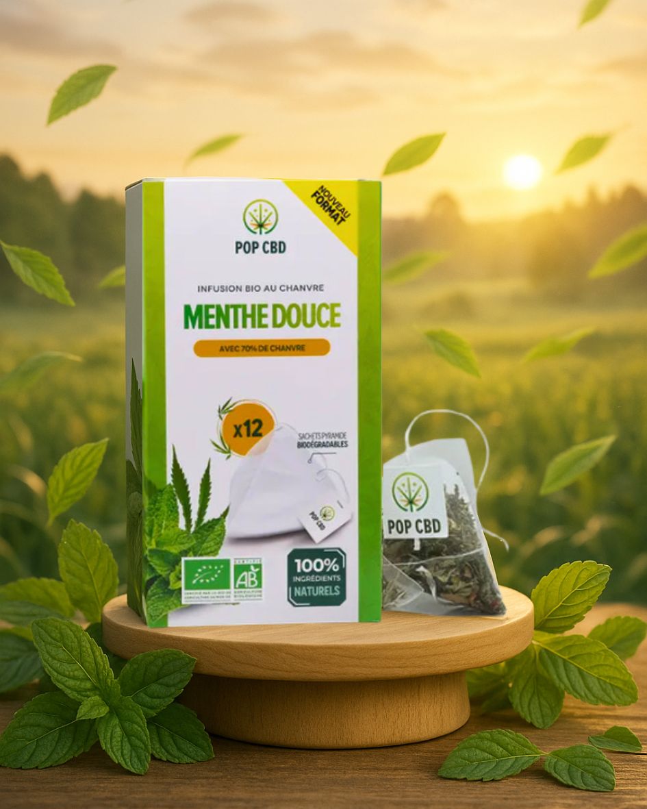 Sachets pyramides Infusion Bio CBD "Menthe douce" 70% chanvre