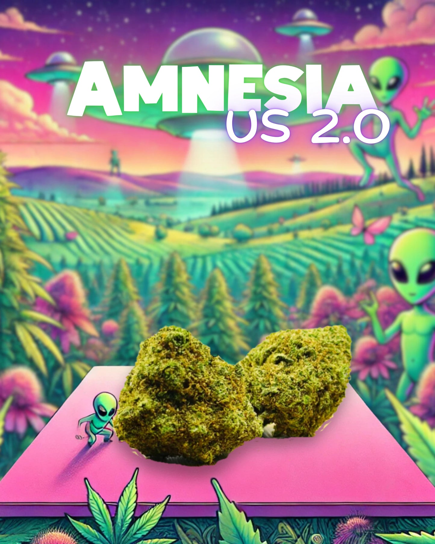 Amnesia US 👽