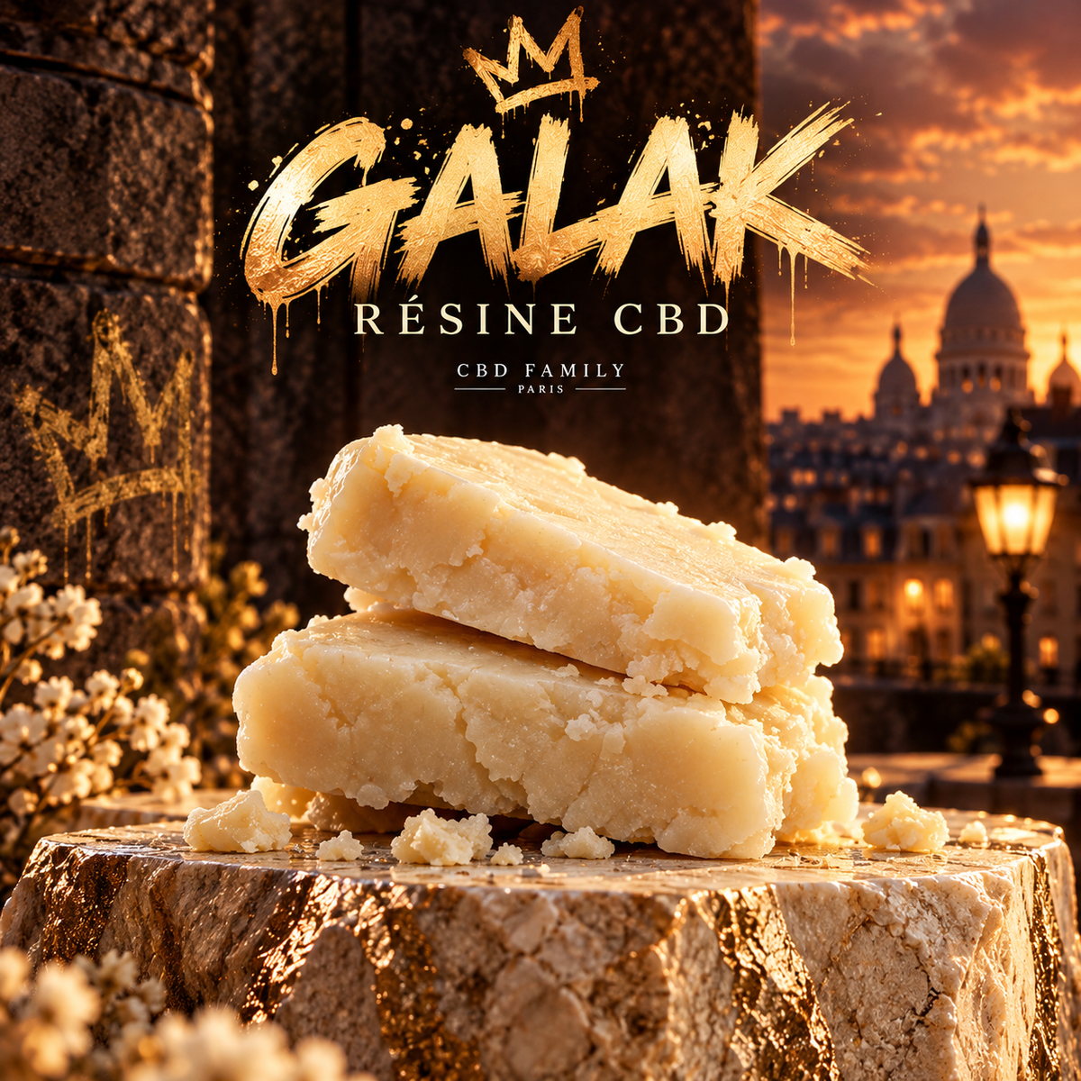 Galak White Piatella CBD - CBD Family Paris