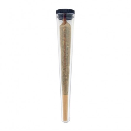 Pre-Roulé Spécial RAF roll "Infustick"