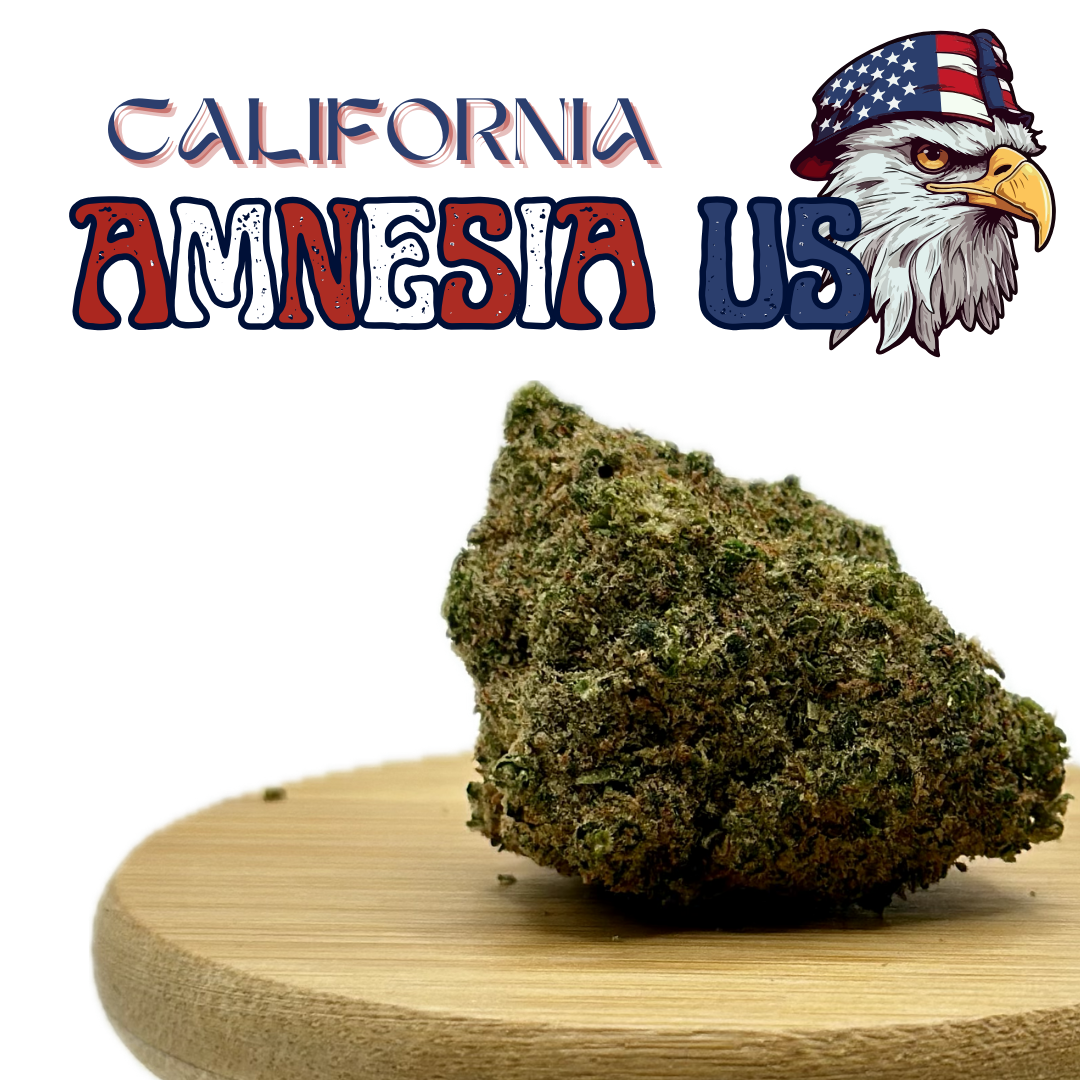 AMNESIA 2.0 California