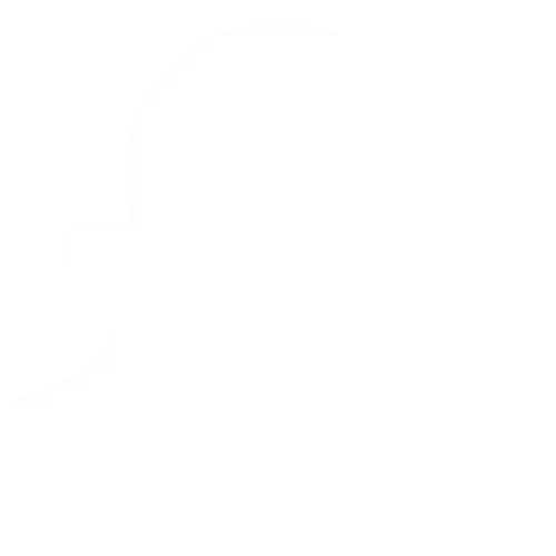 Social icon