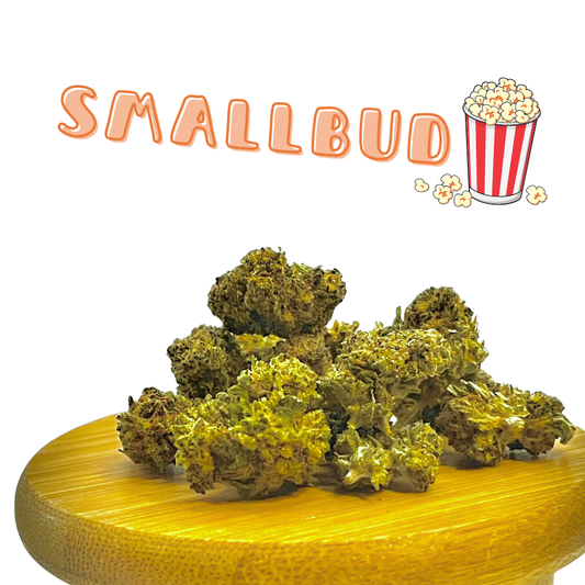 SMALL BUDS "POPCORN"