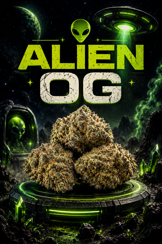 Speciale ALIEN OG ***NEW*** 10.OH+