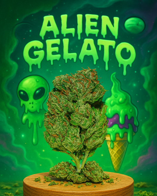 Spéciale ALIEN GELATO