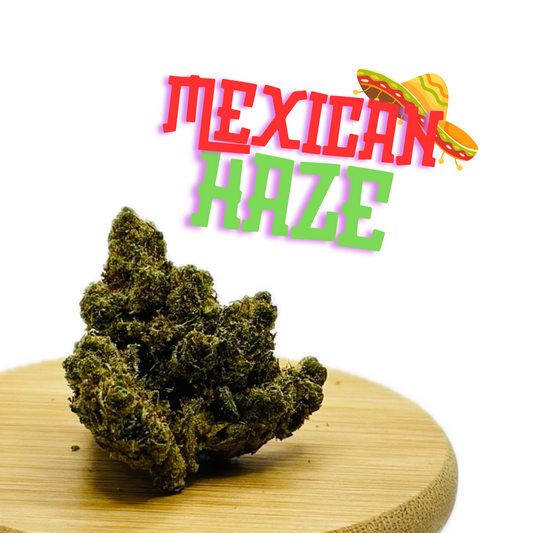 "Spéciale" Mexicana Haze CBN+