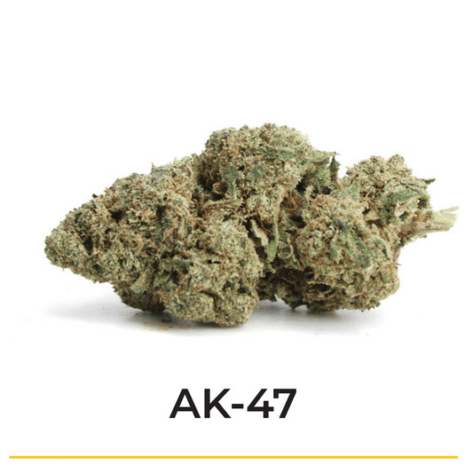 AK-47     le retour !