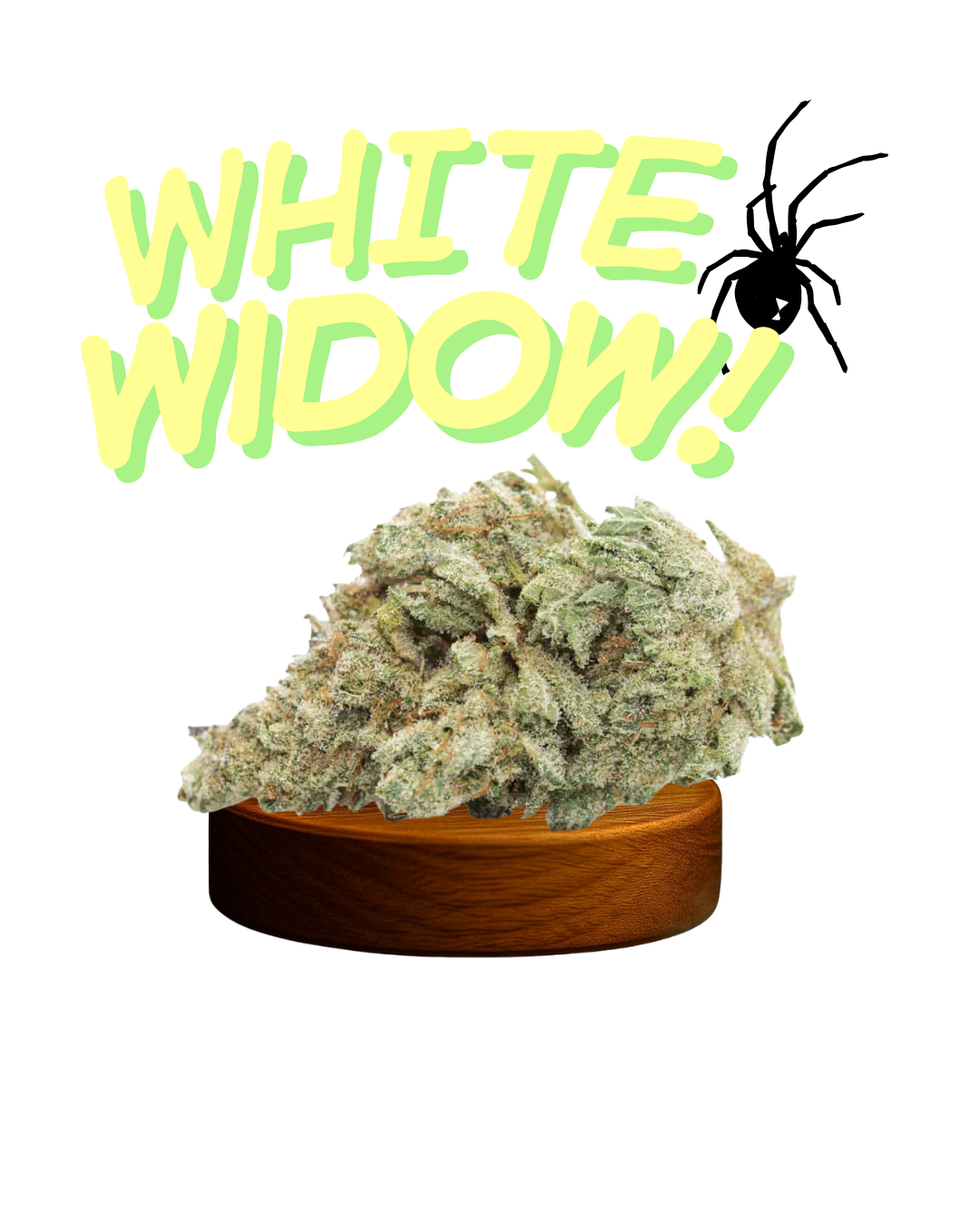 WHITE WIDOW