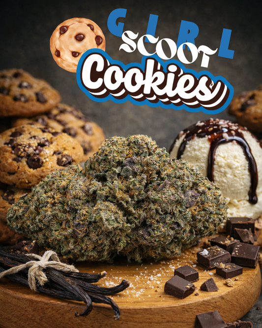 SPECIALE GIRL SCOOT Cookie 10-OH+