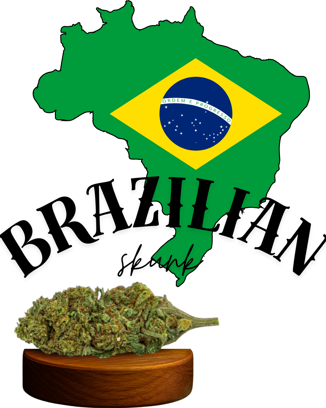 Brazilian Skunk