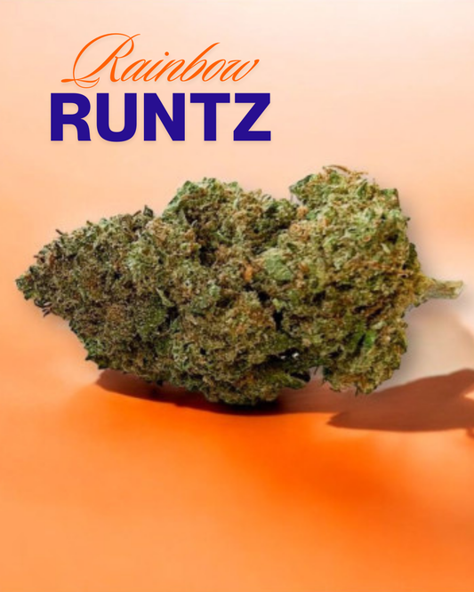 Speciale RAINBOW RUNTZ 10.OH+