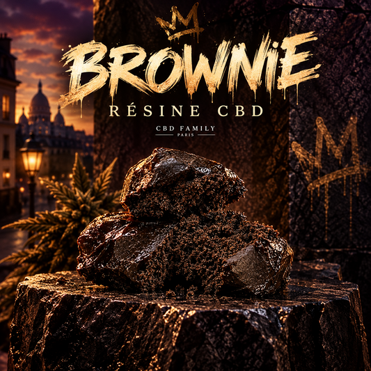 Brownie CBN 20 % - résine CBD Family Paris