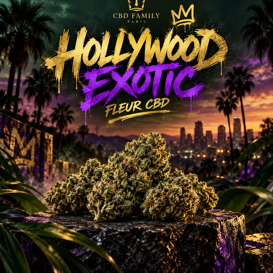 Hollywood Exotic — illustration CBD Family Paris