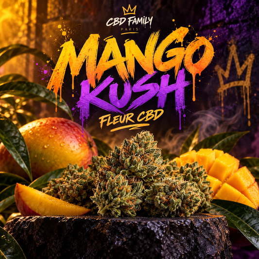 Mango Kush — illustration CBD Family Paris