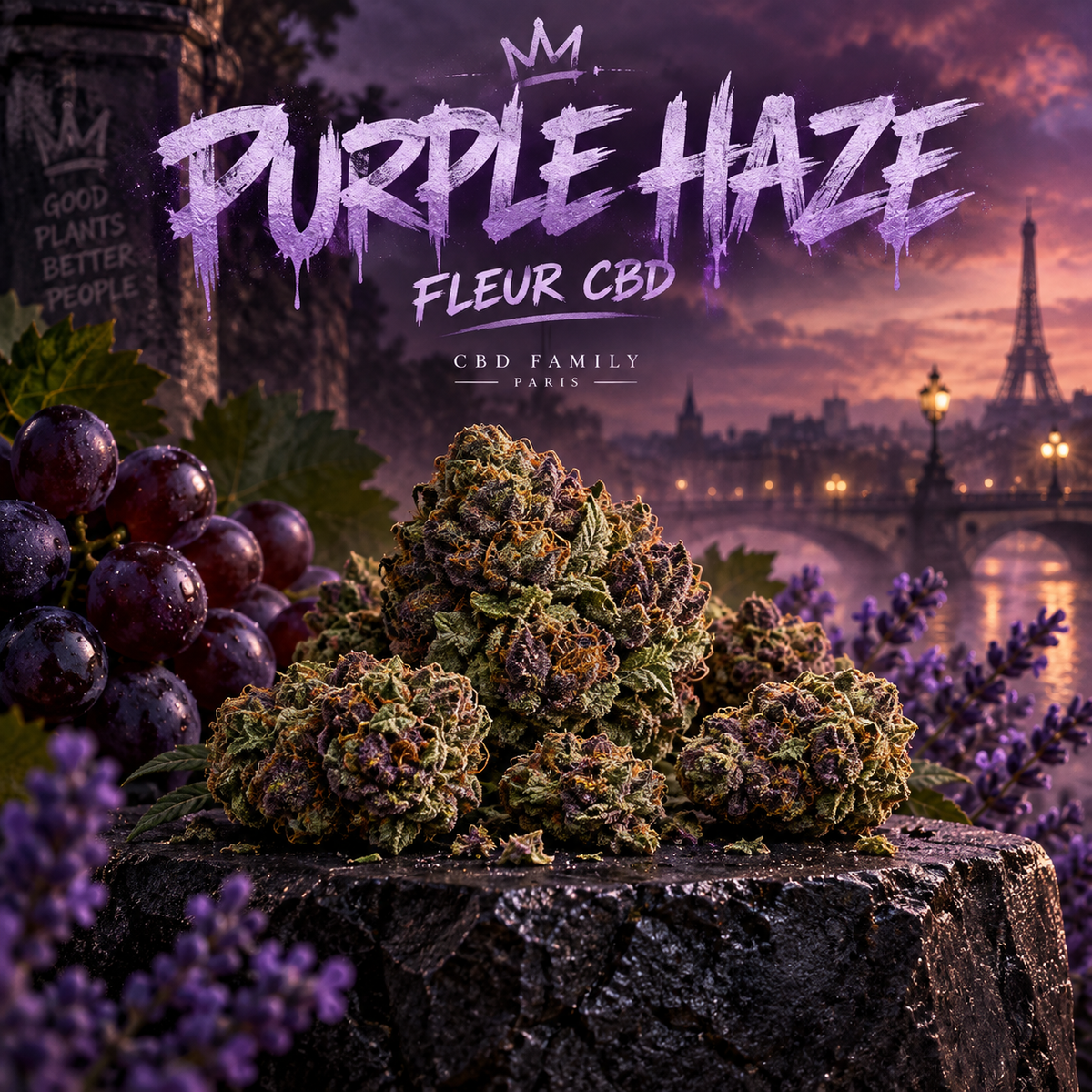 Purple Haze — illustration CBD Family Paris