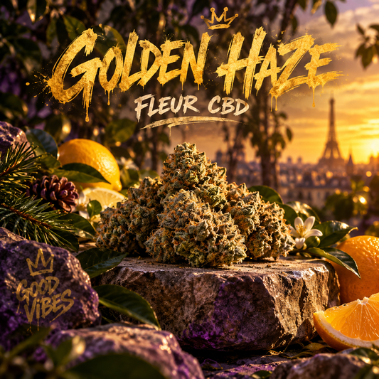 Illustration de l’univers Golden Haze [CALIFORNIA]