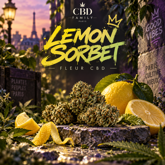 Illustration de l’univers LEMON SORBET