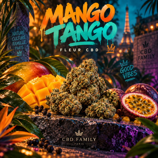 Illustration de l’univers MANGO TANGO