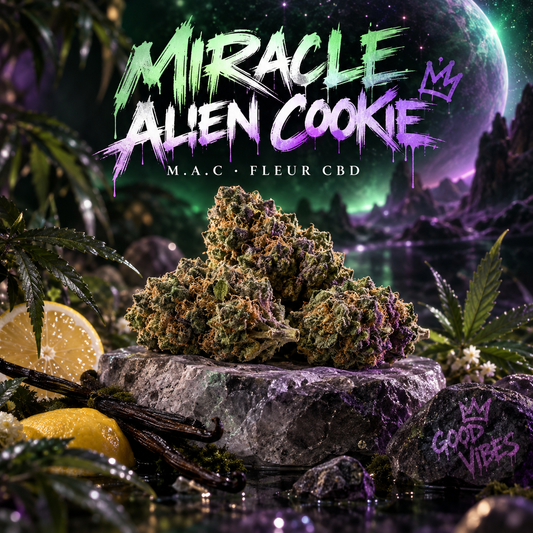Illustration de l’univers MIRACLE ALIEN COOKIE "M.A.C"