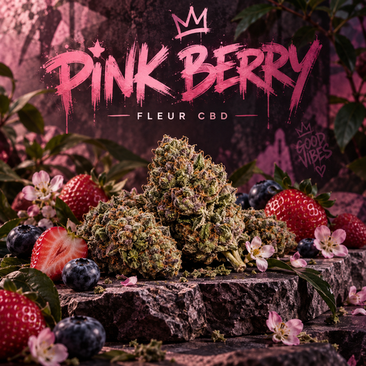Illustration de l’univers pink berry