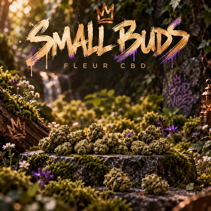Illustration de l’univers small buds