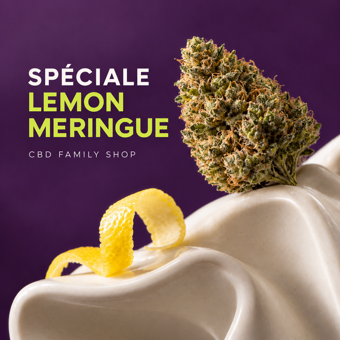 Spéciale Lemon Meringue — CBD Family Shop