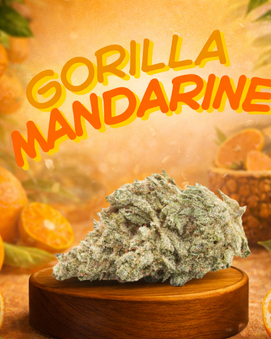 Gorilla Mandarine