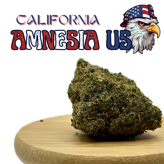 CALIFORNIA "AMNESIA US"