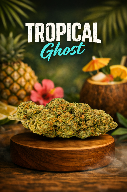 Tropical Ghost
